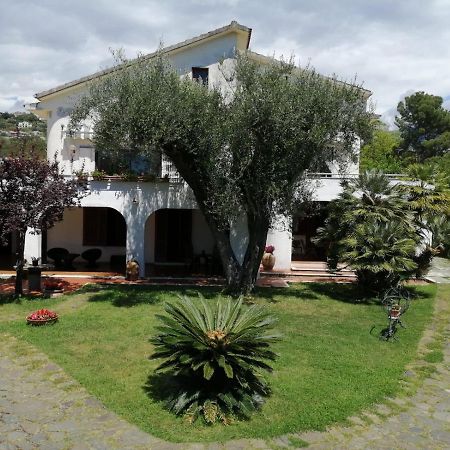 Villa Livia Villammare Exterior photo