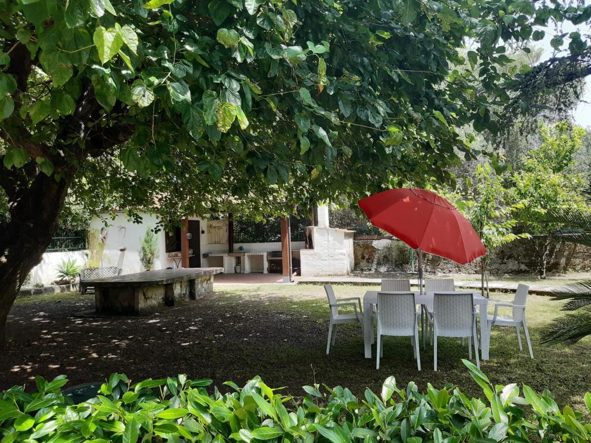 Villa Livia Villammare Exterior photo